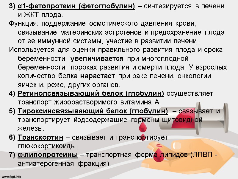 3) α1-фетопротеин (фетоглобулин) – синтезируется в печени и ЖКТ плода. Функция: поддержание осмотического давления